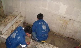 番禺区厂房屋面防水补漏，专业公司是保障生产的明智选择