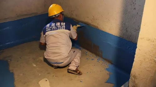 屋顶堵漏防水 南宁青龙防水21年专业服务，终身维护保障